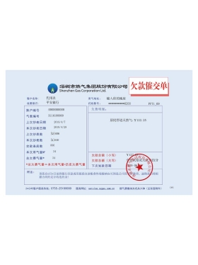 China Shenzheng Gas Group Utility Bills深圳燃气水电费账单/地址证明ps/psd模板