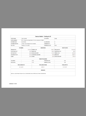 Spain Zamora Media Paystub Template西班牙娱乐公司收入证明/工资账单PDF模板