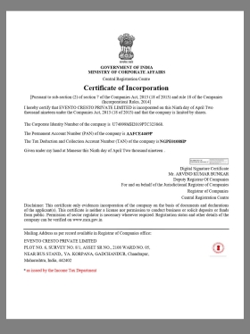 Indian Company Certificate印度企业营业执照pdf模板